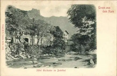 Ak Thale im Harz, Bodetal, Hotel Waldkater