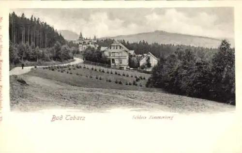 Ak Tabarz im Thüringer Wald, Schloss Zimmerberg