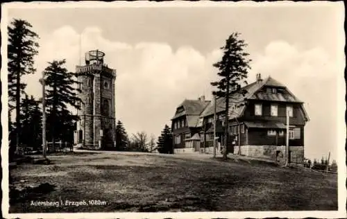 Ak Wildenthal Eibenstock, Blick auf den Auersberg mit Aussichtsturm, Hotel