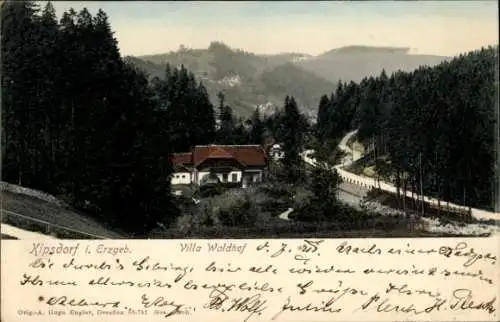 Ak Kipsdorf Altenberg im Erzgebirge, Villa Waldhof