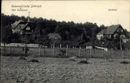 Ak Gohrisch Sächsische Schweiz, Villa Wustmann, Heidehof