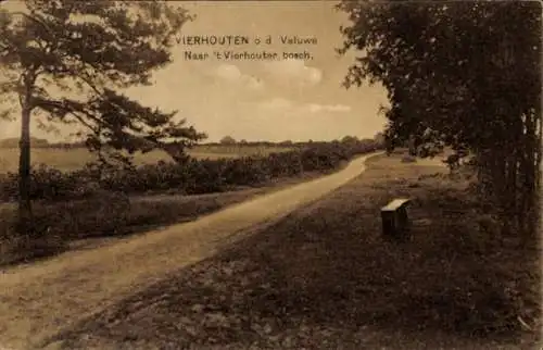 Ak Vierhouten Gelderland, Veluwe, Weg zum Vierhouter Wald