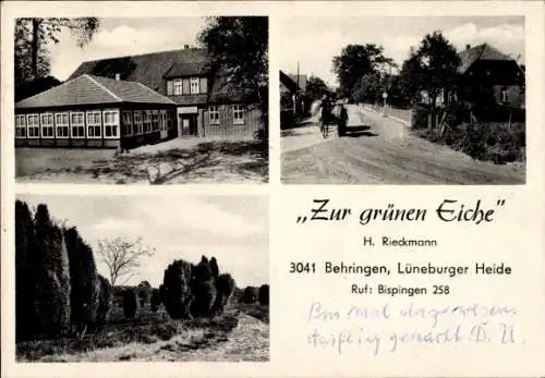 Ak Behringen Bispingen Lüneburger Heide, Zur grünen Eiche, Straße, Pferdegespann