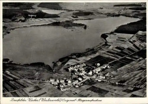 Ak Dreifelden im Westerwald, Panorama mit Dreifelder Weiher, Fliegeraufnahme