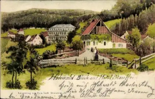 Künstler Ak Le Hohwald Elsass Bas Rhin, Hotel Stauffen