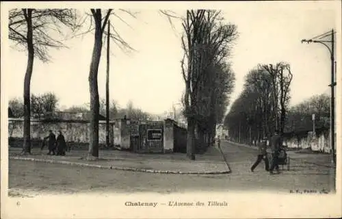 Ak Châtenay Malabry Hauts de Seine, Avenue des Tilleuls
