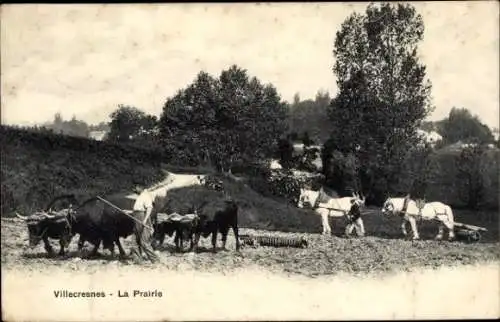 Ak Villecresnes Val de Marne, La Prairie