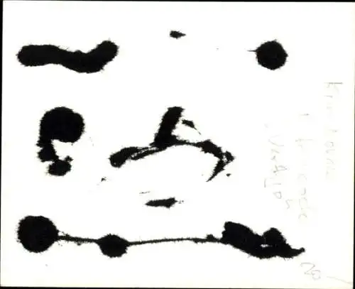 Ak Schauspielerin Kim Novak, Portrait, Autogramm