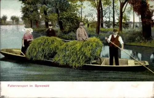 Ak Futtertransport im Spreewald, Ruderboot