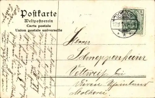 Ak Futtertransport im Spreewald, Ruderboot