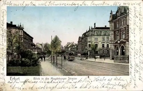 Ak Erfurt in Thüringen, Blick in die Magdeburger Straße, Straßenbahn