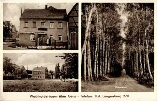 Ak Wacholderbaum Gera in Thüringen, Restaurant Alfred Buschner, Birkenstraße