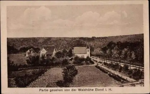 Ak Elend Oberharz am Brocken, Blick von der Waldhöhe