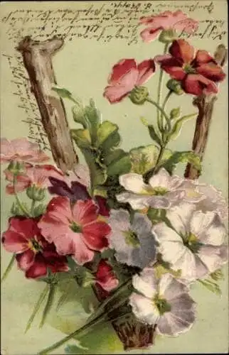 Buchstaben Ak V, Weiße und rote Blüten