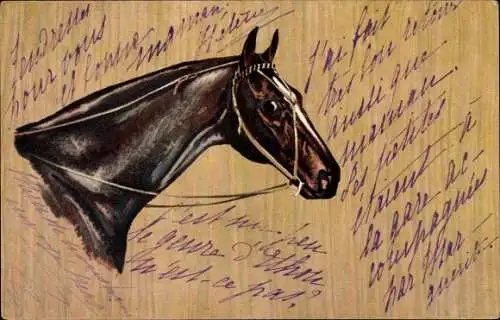 Litho Braunes Pferd, Zaumzeug, Kopf, Tierportrait