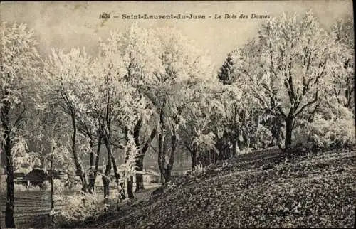 Ak Saint-Laurent du Jura, Le Bois des Dames
