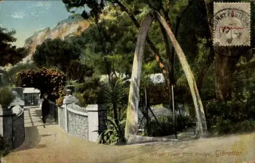 Ak Gibraltar, The Whale Jaw's Arch-Brücke