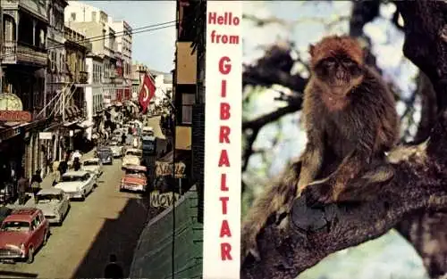 Ak Gibraltar, Street View und Ape