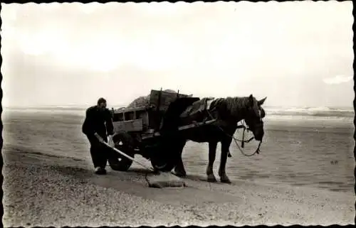 Foto Ak Muschelfischer, Strand, Pferd, Fischfang