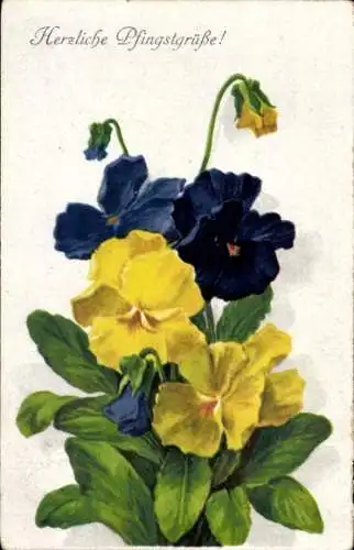 Litho Glückwunsch Pfingsten, Stiefmütterchen