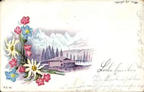 Litho Holzhaus in den Bergen, Blumen, Edelweiß