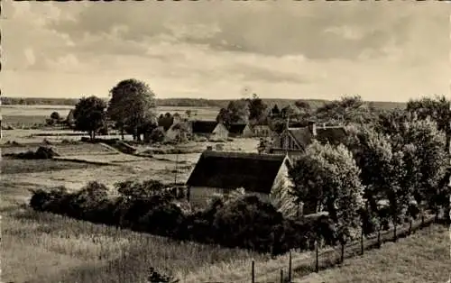 Ak Wieck auf dem Darß, Teilansicht