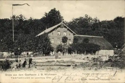 Ak Tesperhude Geesthacht an der Elbe, Gasthaus J.B. Wichmann