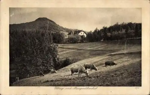 Ak Königswinter am Rhein, Ölberg und Margaretenhof, Kuhweide