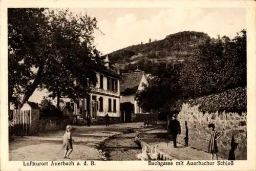 Ak Auerbach Bensheim an der Bergstraße Hessen, Bachgasse mit Auerbacher Schloss