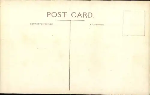 Ak Folkestone Kent England, The Warren