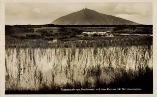 Ak Malá Úpa Kleinaupa Riesengebirge Region Königgrätz, Hochmoor auf dem Kamm, Schneekoppe