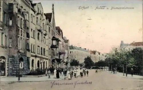 Ak Erfurt in Thüringen, Moltkestraße, Blumentalstraße