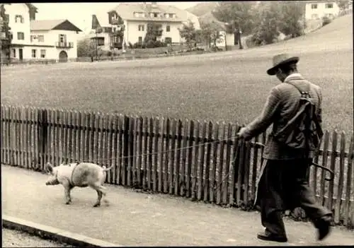 Foto Ak Mann mit einem Schwein an der Leine