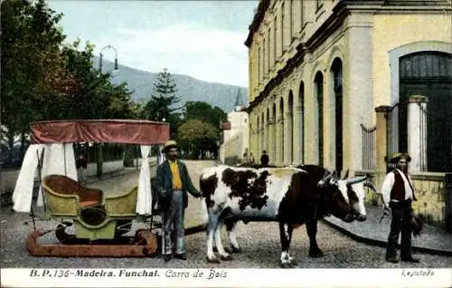 Ak Funchal Insel Madeira Portugal, Carro de bois