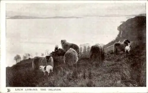 Ak Loch Lomond Schottland, Die Inseln