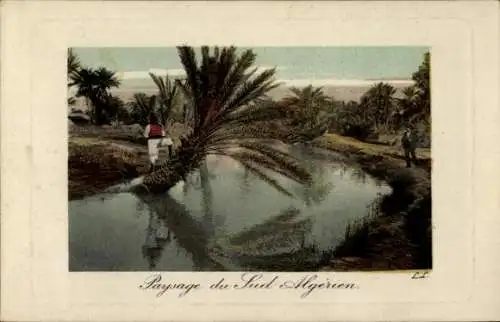 Ak Algerien, Palme im Wasser