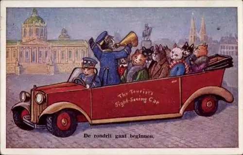 Ak Vermenschlichte Katzen, Stadtrundfahrt, Besichtigung, Auto