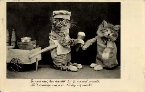 Ak Vermenschlichte Katzen, Eisverkäufer