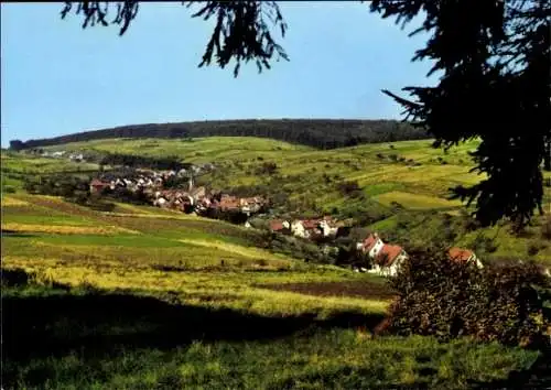 Ak Weibersbrunn im Spessart, Panorama