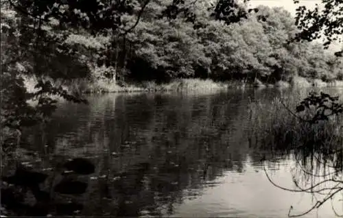 Ak Fürstenberg an der Havel, Panorama