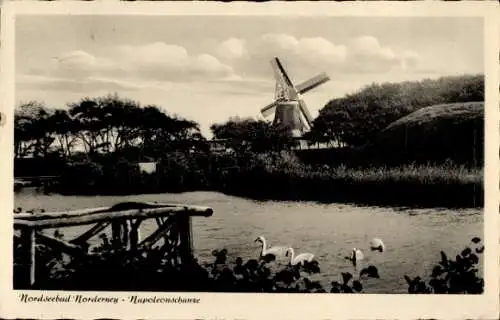 Ak Nordseebad Norderney Ostfriesland, Napoleonschanze, Windmühle, Schwäne