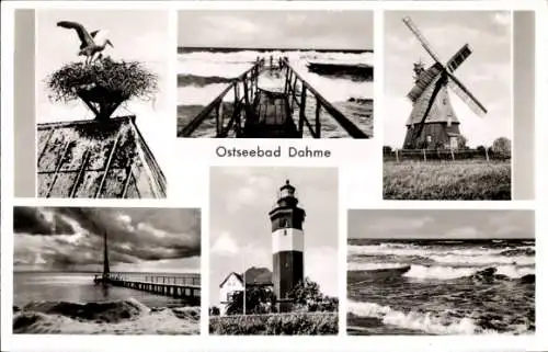 Ak Dahme in Ostholstein, Storchennest, Windmühle, Leuchtturm, Meerblick, Seebrücke