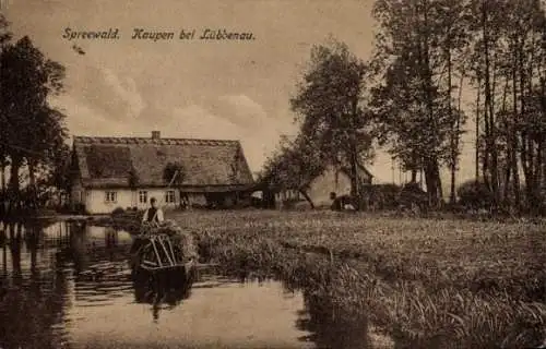 Ak Kaupen Lübbenau im Spreewald, Kahn, Heu