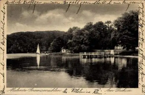 Ak Gremsmühlen Malente, Am Dieksee, Steg, Wald, Ufer