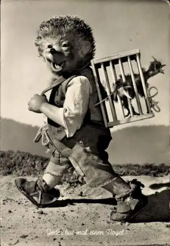 Ak Mecki der Igel, Jeder hat mal einen Vogel, Vogelkäfig