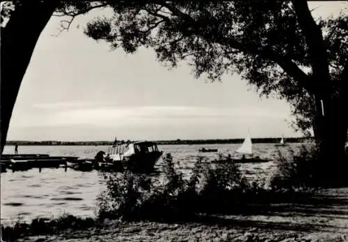 Ak Neustrelitz in Mecklenburg, Zierker See