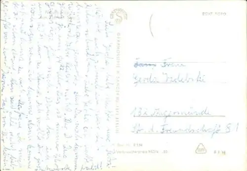 Ak Neustrelitz in Mecklenburg, Zierker See