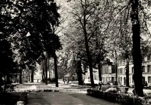 Ak Wismar in Mecklenburg, Lindengarten