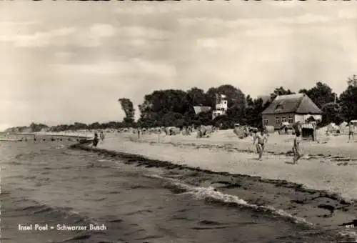 Ak Insel Poel Mecklenburg, Schwarzer Busch, Strand