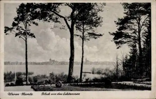 Ak Waren an der Müritz, Blick von den Ecktannen